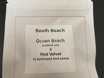 Vente: South Beach By Lit Farms