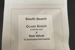 Vente: South Beach By Lit Farms