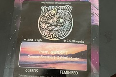 Sell: Pink Sunset By Universally Creative Genetics