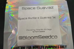 Venta: Space Guavaz By Bloom Seed Co