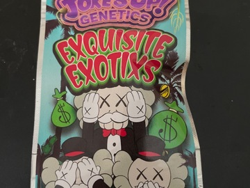 Sell: Exquisite Exotics By jokes up genetics