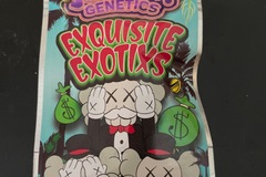 Vente: Exquisite Exotics By jokes up genetics