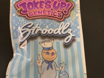 Vente: Stroodlz by jokes up genetics