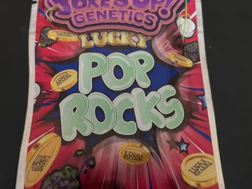 Vente: Lucky pop rocks  by jokes up genetics