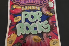 Vente: Lucky pop rocks  by jokes up genetics