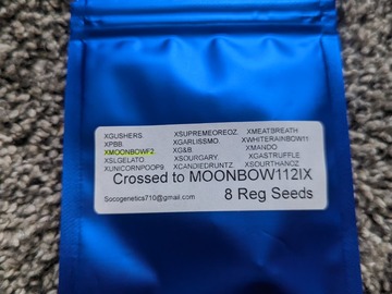 Sell: Moonbow 112IX  F2  8 Regs. Soco Genetics