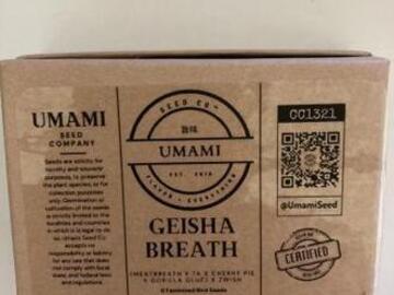 Vente: Geisha Breath from Umami