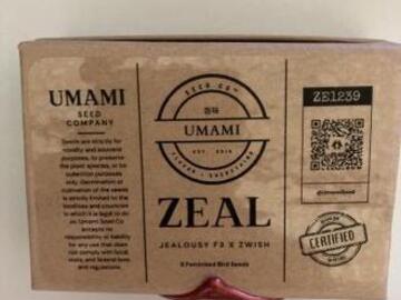Vente: Zeal from Umami