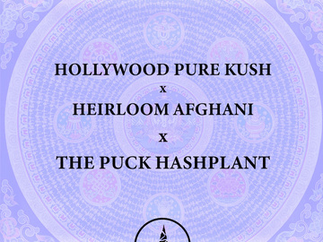 Vente: Hollywood Pure Kush x Afghani x The PUCK