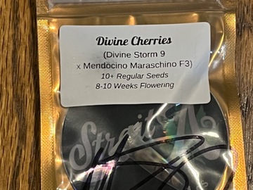 Vente: Divine cherries- Strait A Genetics