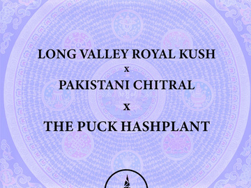 Vente: Long Valley Royal Kush x Pakistani Chitral x The PUCK