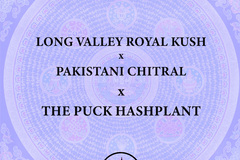 Sell: Long Valley Royal Kush x Pakistani Chitral x The PUCK