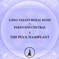 Venta: Long Valley Royal Kush x Pakistani Chitral x The PUCK