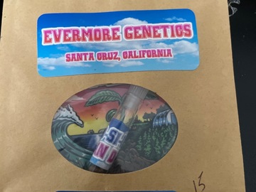 Sell: Dosi-Dulce By Evermore Genetics