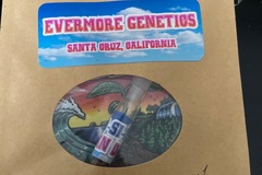 Vente: Dosi-Dulce By Evermore Genetics