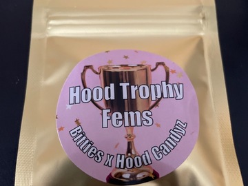 Sell: Hood Trophy By Solfire Gardens