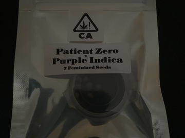 Sell: Patient zero X Purple  Csi Humboldt