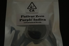 Vente: Patient zero X Purple  Csi Humboldt