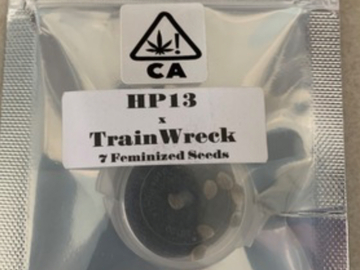 CSI Humboldt- HP13 x Trainwreck