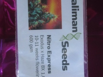 Kaliman Seeds, "Nitro Express". 10 x Regular Seeds.