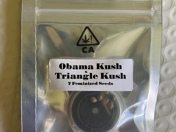 Vente: Obama Kush x Triangle Kush from CSI Humboldt