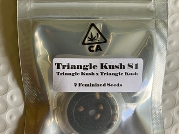 Venta: Triangle Kush S1 from CSI Humboldt