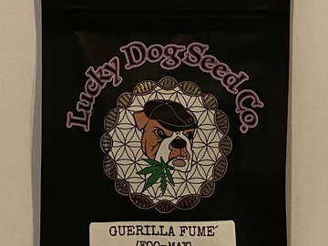 Sell: Lucky Dog Seeds - Guerilla Fume