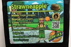 Sell: Strawneapple from Exotic Genetix