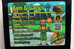 Sell: Ben & Gary's from Exotic Genetix