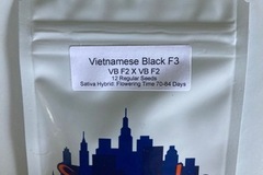 Sell: Vietnamese Black F3 from Top Dawg