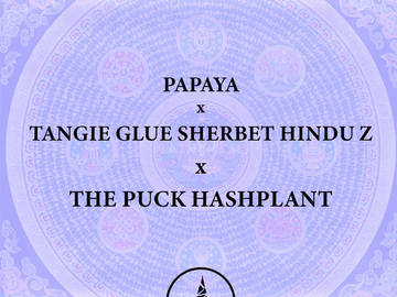 Venta: Papaya x Tangie Glue Sherbet Hindu Zkittlez x THE PUCK HP