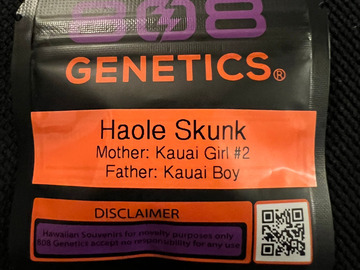 Vente: 808 Genetics Haole Skunk 12 pack