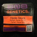 Venta: 808 Genetics Haole Skunk 12 pack