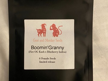 Vente: Goat & Monkey Seeds - Boomin' Granny (Fire OG x Blueberry)