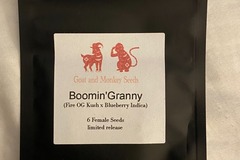 Sell: Goat & Monkey Seeds - Boomin' Granny (Fire OG x Blueberry)