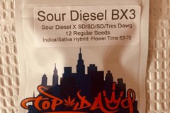 Sell: Topdawg Seeds - Sour Diesel BX3