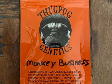 Venta: Thug Pug - Monkey Business