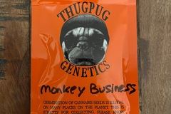 Sell: Thug Pug - Monkey Business