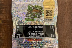 Sell: Jelly Breath S1 (In House Genetics)