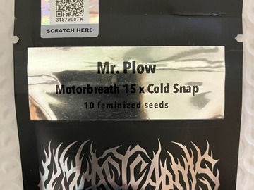 Vente: Mr. Plow from Wyeast