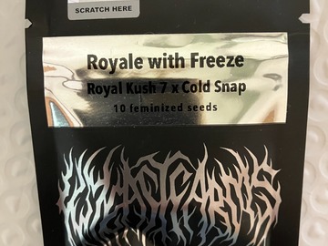 Sell: Royale with Freeze from Wyeast