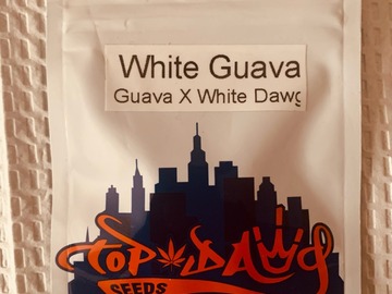Vente: Topdawg Seeds - White Guava