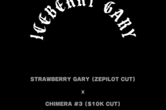 Vente: Iceberry Gary