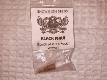 Sell: Snowhigh Seeds - Black Maui