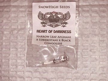 Vente: Snowhigh Seeds - Heart of Darkness