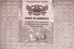 Venta: Snowhigh Seeds - Heart of Darkness