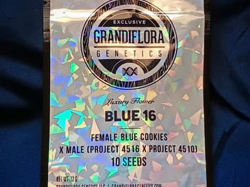 Venta: Blue 16 (Blue Cookies x (Project 4516 x Project 4510)