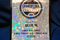 Sell: Blue 16 (Blue Cookies x (Project 4516 x Project 4510)