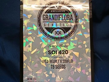 Sell: Soi 420 (Red Velvet x Soufle) by Grandiflora Genetics
