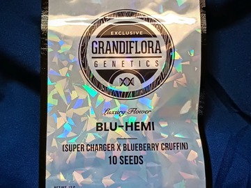 Sell: Blu-Hemi - (Supercharger x Blueberry Cruffin)